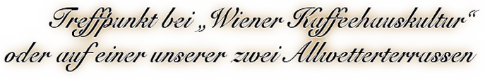 Treffpunkt bei Wiener Kaffeehauskultur